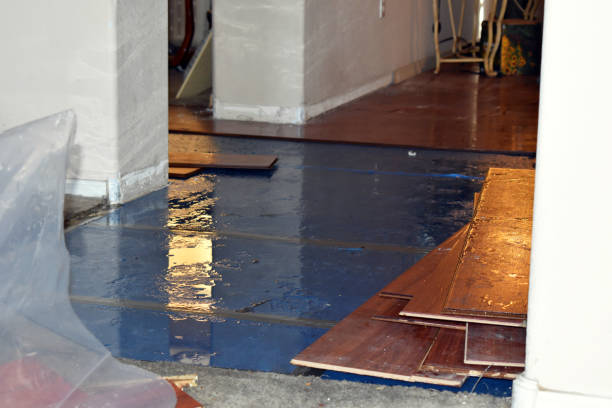 Professional Burst Pipe Cleanup technician working in Custer, SD